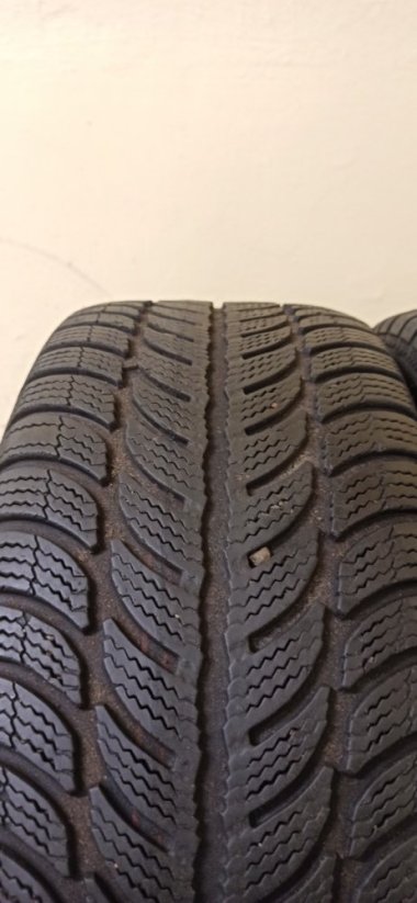 Sava Eskimo S3+ 205/55 R16 91T 4,5 - 5,5 mm (Bazarové)