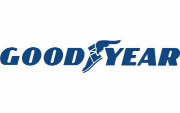 Použité pneumatiky Goodyear - Období - letní